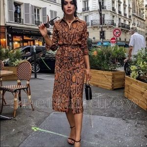 Zara Snake Print Tunic Dress
